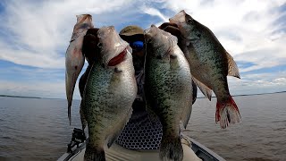 The Biggest Crappie Caught On Camera During The Late Spawn/Mississippi