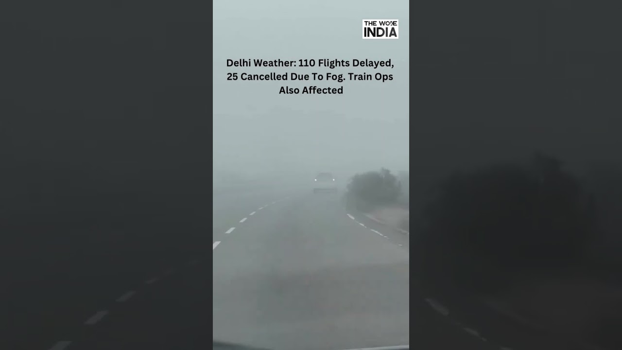 Cold Waves And Dense Fog Continues In North India | Flights And Trains Delays By Hours