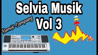Download lagu Selvia Musik Vol 3  Remix Lampung  mp3
