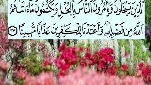 سورة النساء اية ٣٧ جمال القرش