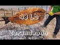 Pescado Zarandeado el más grande y delicioso del mundo / el tio yorch