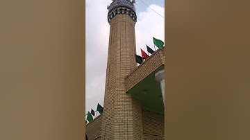 تلاوة القران الكريم للقارئ رونق الربيعي