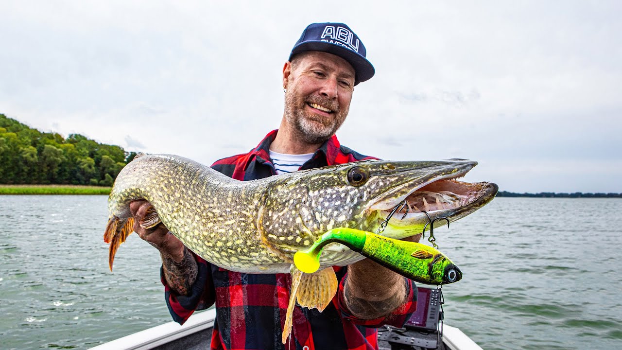 Svartzonker McHybrid – Ett otroligt effektivt gäddbete!