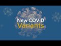 New COVID Variants and a Rise in Cases - What We Know About EG.5 (Eris) and BA.2.86