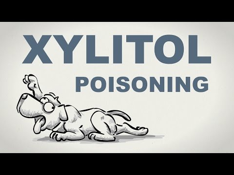 Video: En veterinær er ikke så søt Ta på Xylitol-merking