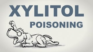 Xylitol poisoning in dogs  Plain and Simple (Sketch)