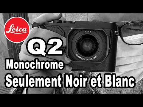 Vidéo: Quel est le meilleur monochrome ou niveaux de gris ?