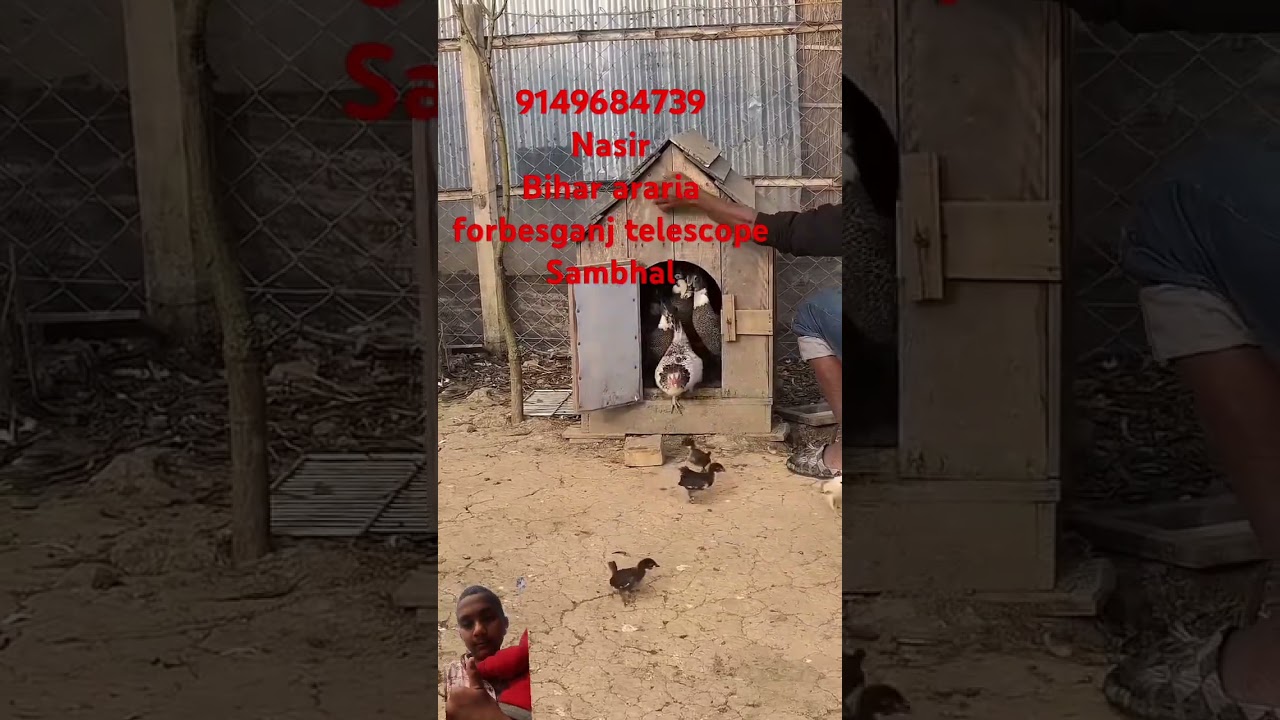 Forbesganj araria ki electric School Sambhal India Bihar