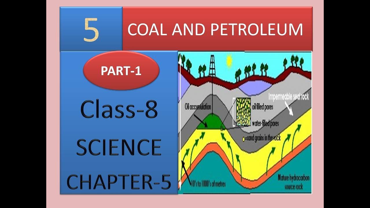 case study on coal and petroleum class 8