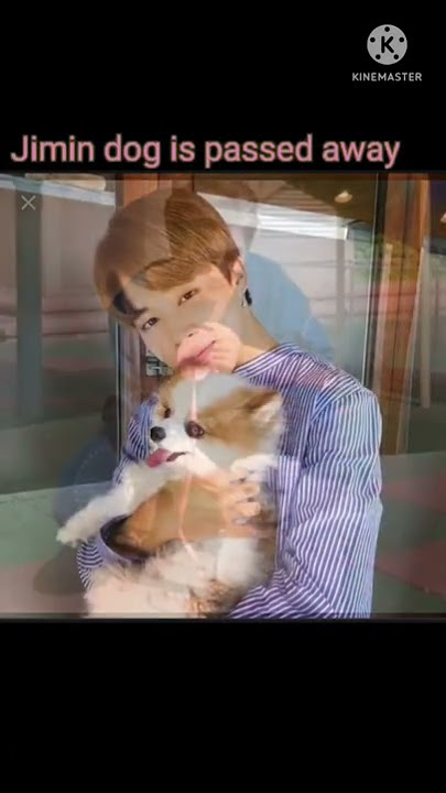 BTS and their pets 😍 R.I.P Jimin pet 🥺