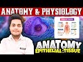 Epithelial Tissue | Types & Location | Anatomy & Physiology | PD Academy Medical|