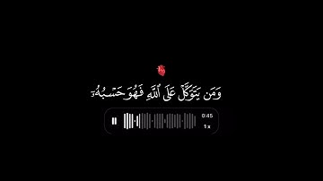 ومن يتق الله يجعل له مخرجا ويرزقه من حيث لا يحتسب🥹قران كريم ارح سمعك وقلبك