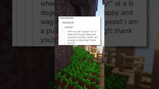 Elke hond is een puppy 🐶