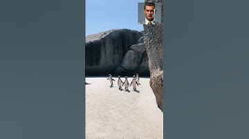 How African innovators are using blockchain to solve real problems