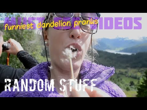 some-of-the-best-dandelion-pranks