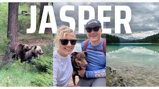 Exploring Jasper National Park! | Part 1