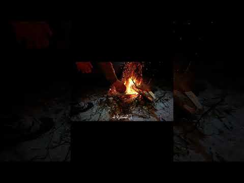 قل إني نهيت أن أعبد الذين تدعون من دون الله ماهر المعيقلي سورة الانعام قران  قران كريم اطمئن