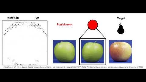 First-Spike-Based Visual Categorization Using Reward-Modulated STDP - Video 2