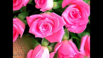 سورة كلها أمل