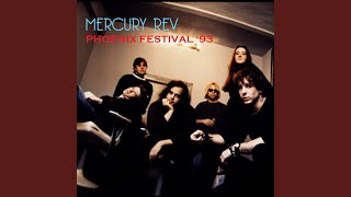 Video thumbnail of "Mercury Rev - Chasing A Bee"