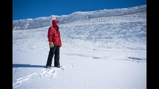 Cold Pursuits: A Scientist's Quest to Uncover Antarctica's Secrets