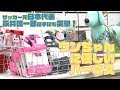 ハーネスの付け方inドッグイベント│Lamzy Channel