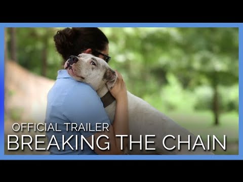 Neglected Animals' Stories Are Revealed in 'Breaking the Chain' | Official Trailer