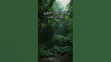 سورة آل عمران #القرآن #القرآن_الكريم #سورة_آل_عمران #تجويد_القرآن_رائع #تلاوة #راحة_نفسية