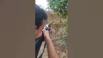 فلوكات صيد لحضة صيد طيور صقر البرية Nationalgeographic Shorts Hunting Wild Birds العراق 