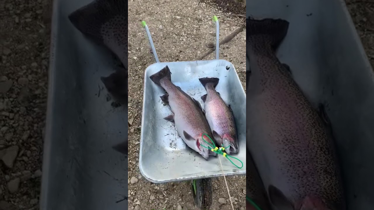 Lechlade and bushyleaze trout fishery 2 new PB YouTube