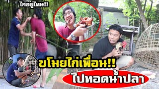 ขโมยไก่แจ้สุดรักของเพื่อน มาทำไก่ทอดน้ำปลา บ้านแทบแตก!!