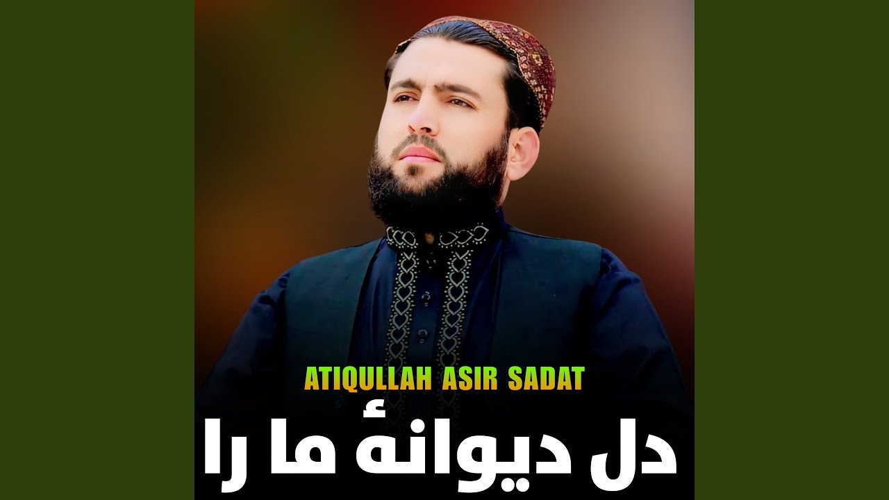 دل دیوانهٔ ما را