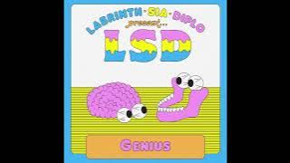 LSD - Genius ft. Sia, Diplo, Labrinth (Instrumental)