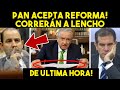 ULTIMA HORA! LORENZO EN SH0CK PERDERA TODO! HABRA REFORMA AL INE. LOS EXHIBIO OBRADOR. MEXICO HOY