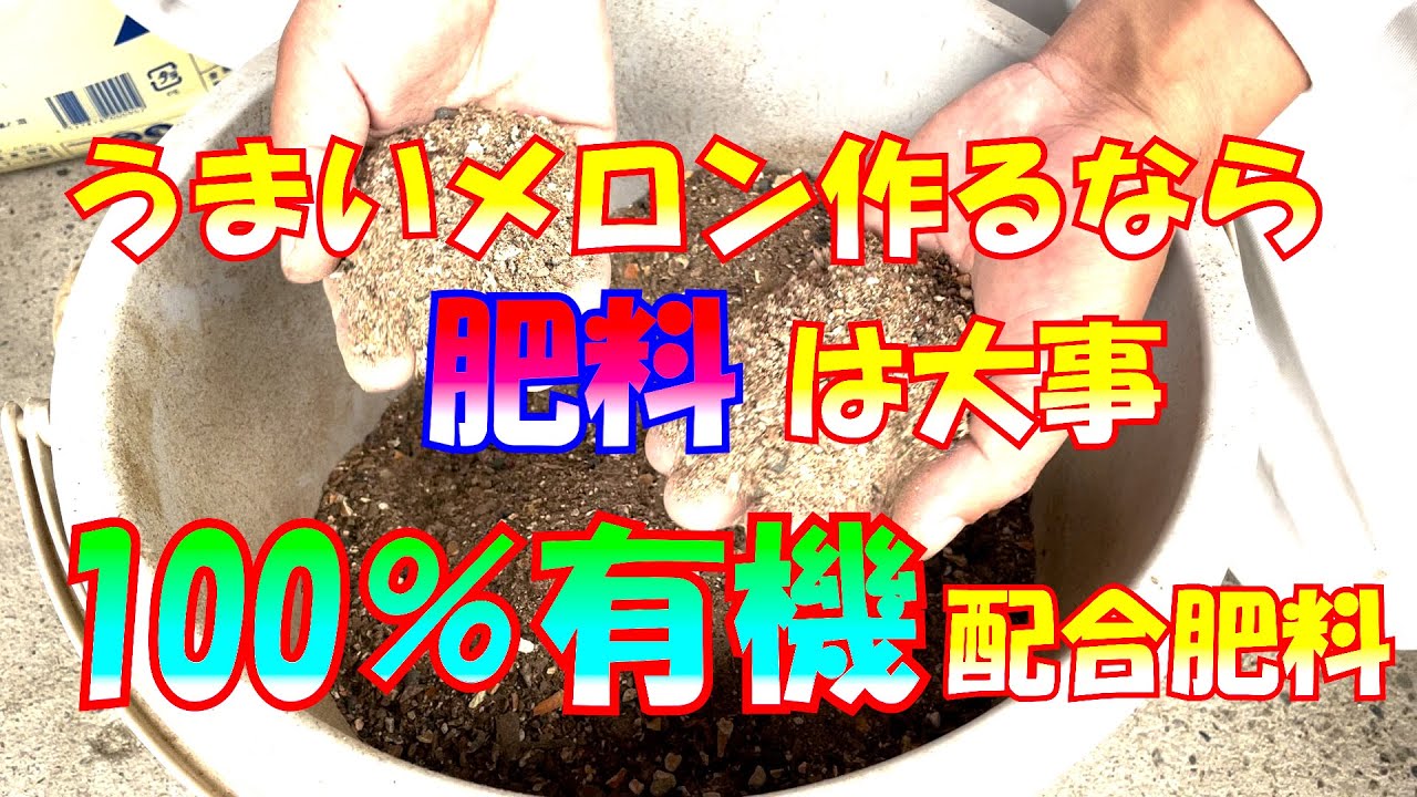 うまいメロンを作るための　肥料は？　　メロンの育て方　grow melons