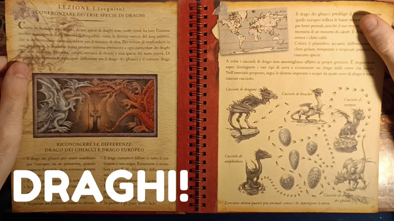 Studiamo Dragologia 🐲 - ASMR ITA