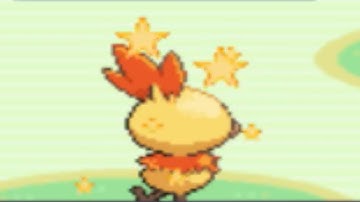 (Ruby BQ #1) LIVE Shiny Torchic after 6,613 SRs in Ruby