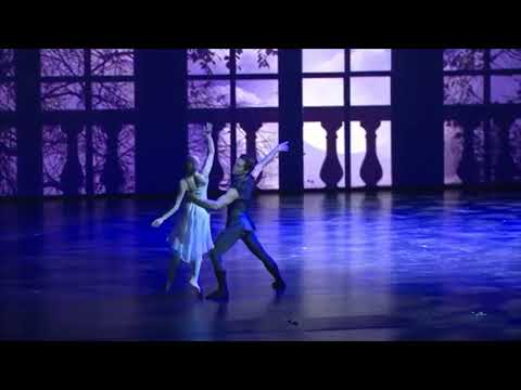 SEAL KISS FROM A ROSE Diving Into The Lilacs Ballet Pas De Deux Extract