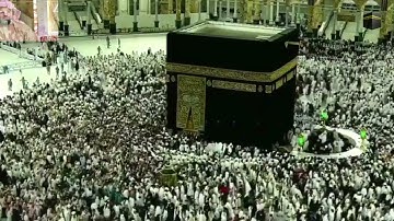 تلاوة مؤثرة للقارئ الشيخ ناصر القطامي من خواتيم سورة الحشر