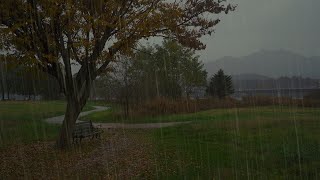 Relaxing Rain Sounds for Sleeping 1 Hour