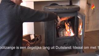 Goldmanns Krokodillentang