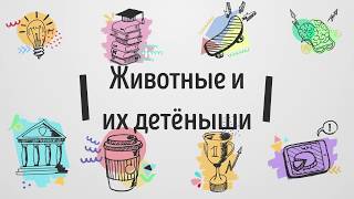 Домашние животные и их детёныши