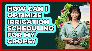 How Can I Optimize Irrigation Scheduling For My Crops? - The World of Agriculture