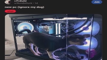 running ultrakill full game everyday until i get a gf (day 83)