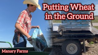 Drilling Winter Wheat Except it’s 80 Degrees 