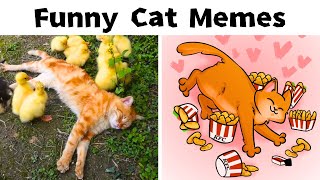 FUNNY CAT MEME ART COMPILATION V1 by Cat Memes 10,628 views 1 month ago 11 minutes, 11 seconds