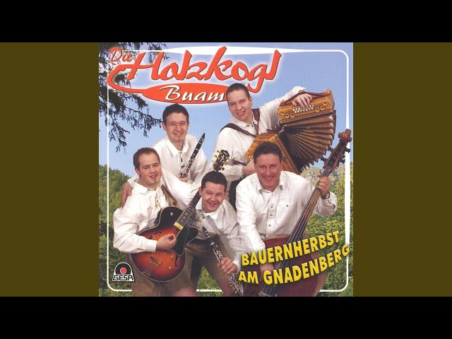 Die Holzkogl Buam - Aba Hansl Spann Ei
