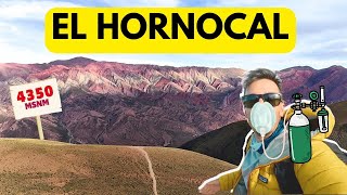 El HORNOCAL: Cómo llegar al cerro de 14 colores de JUJUY, Argentina