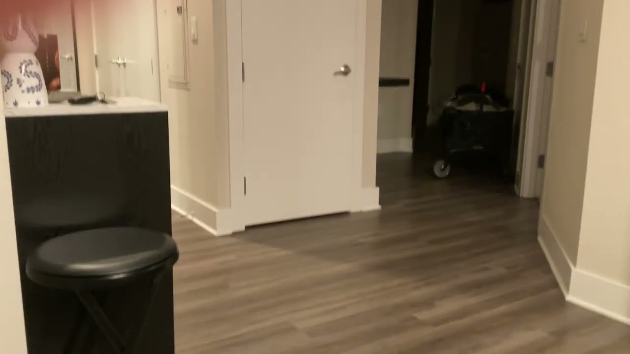 My new Pokémon cards