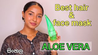 Benefits of Aloe vera Sinhala/Aloe vera hair mask and face mask/Homemade face mask Sinhala